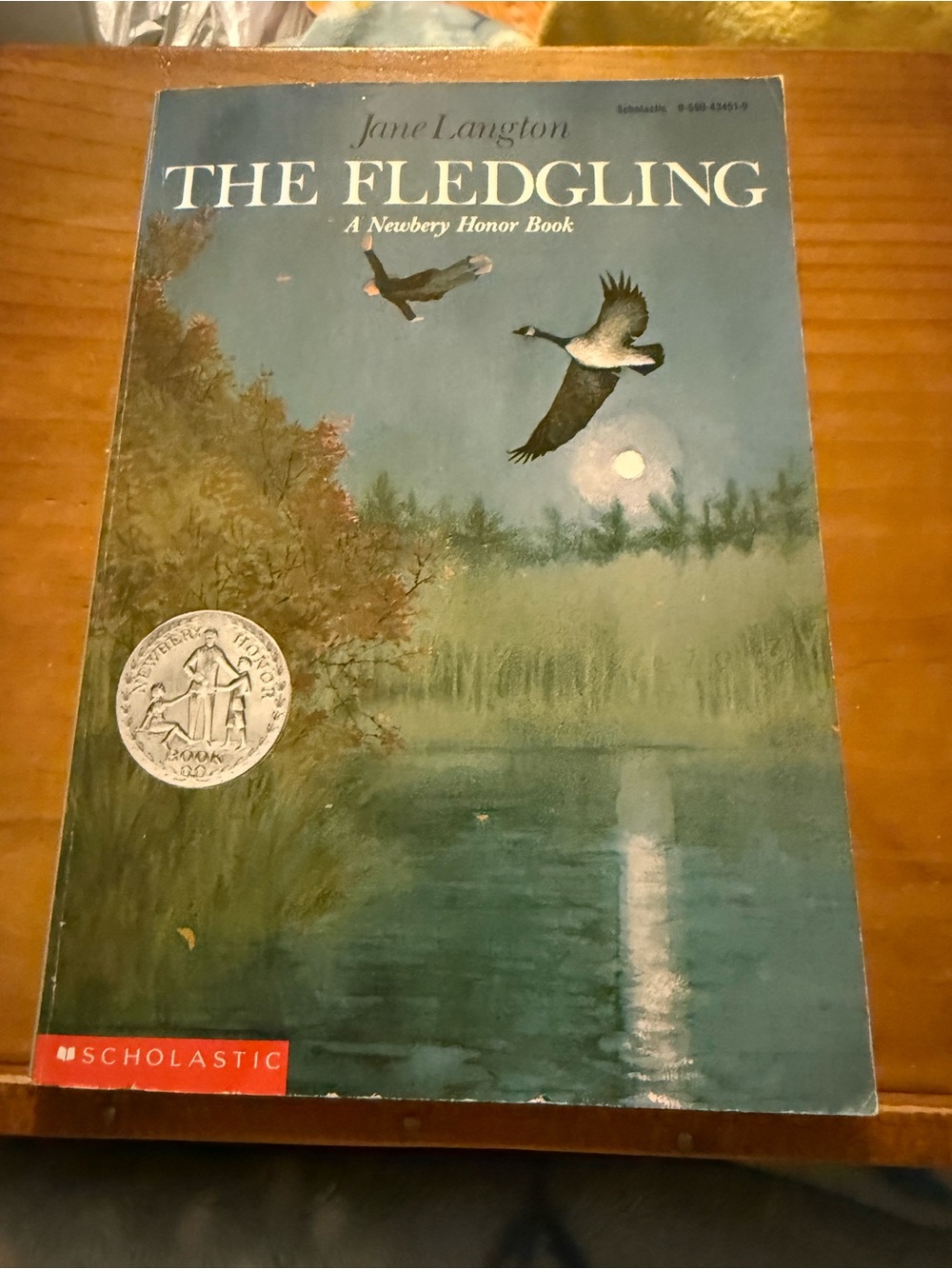 The Fledgling by Jane Langton Children’s Chapter Book A Newbery Honor Book